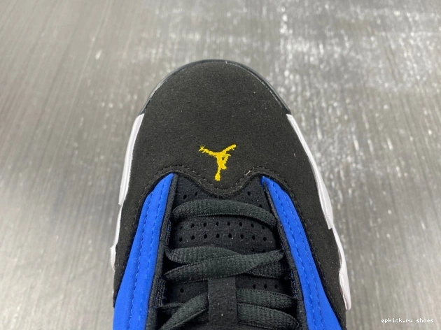 Rep Jordan Laney Retro 14 487471-407 0803